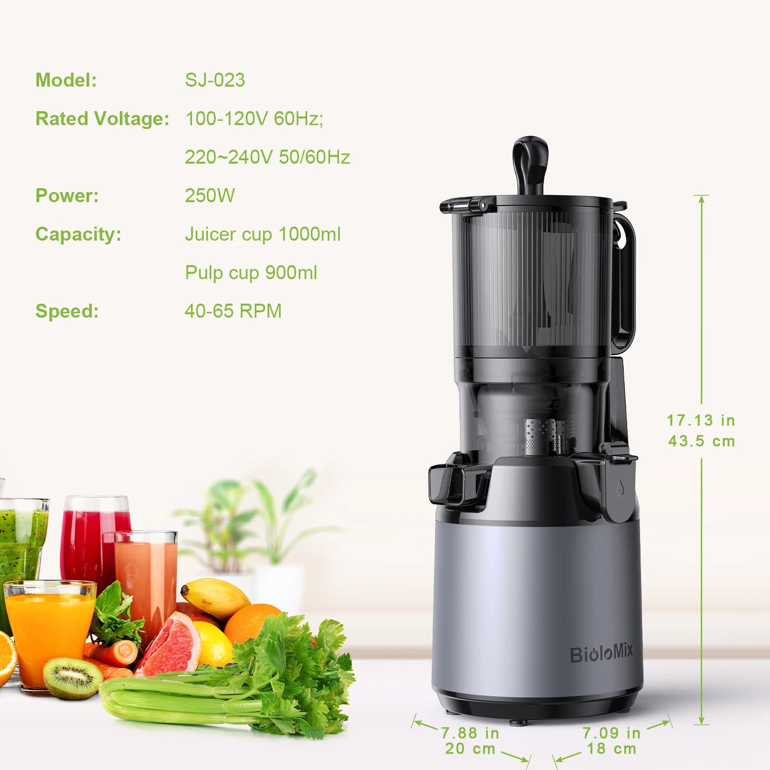 Cold Press Juicer